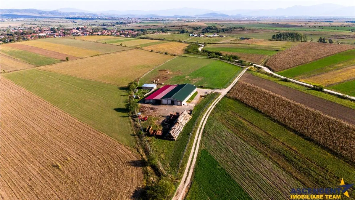 FILM! Zona extinsa, teren mixt,18.000 mp, ideal agro-investitii, Rotbav, Brasov - foto 7