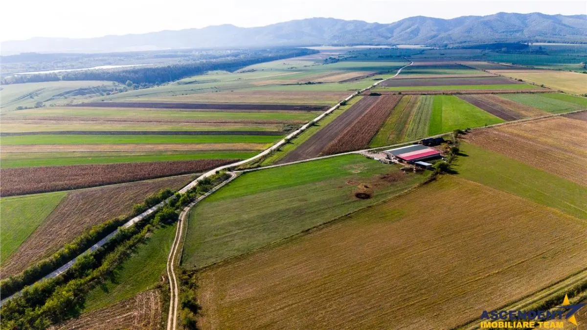 FILM! Zona extinsa, teren mixt,18.000 mp, ideal agro-investitii, Rotbav, Brasov - foto 9