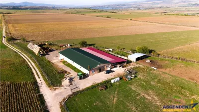 FILM! Zona extinsa, teren mixt,18.000 mp, ideal agro-investitii, Rotbav, Brasov - foto 10
