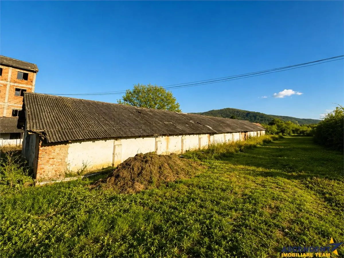 Spatiu comercial/ Industrial multifunctional: productie,depozitare,logistica,Raciu,Mures. - foto 3