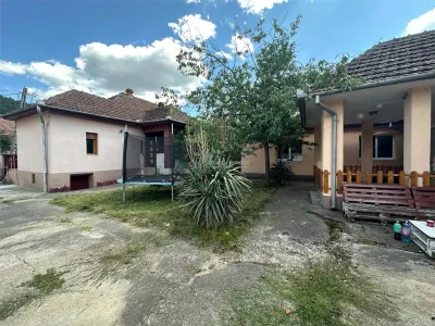 Bocsa Montana, 2 Case direct la Soseaua Principala, la pret de una - foto 3