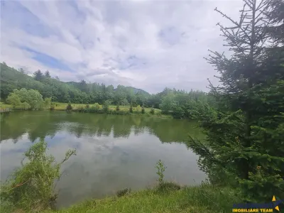 FILM! Oaza paradisiaca cu lac, vedere catre Bucegi, Glajerie/ Rasnov, pretabil Casute/Pensiune - foto 17