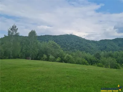 FILM! Oaza paradisiaca cu lac, vedere catre Bucegi, Glajerie/ Rasnov, pretabil Casute/Pensiune - foto 21