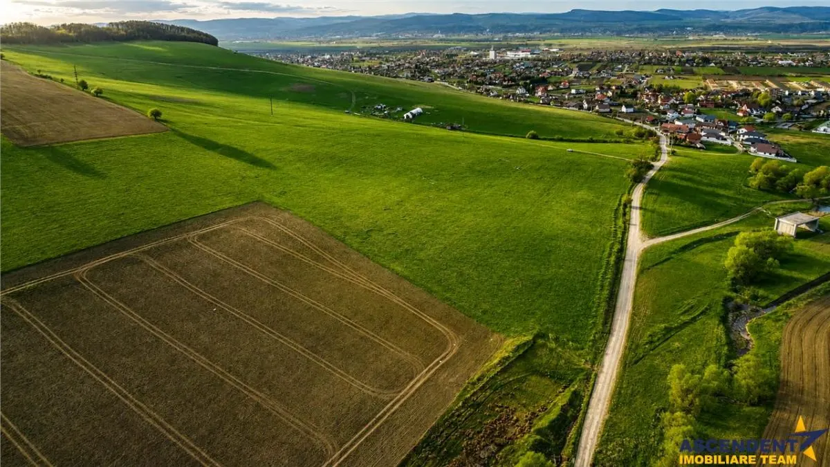 FILM! Portofoliu funciar de exceptie: 23.669 mp teren extravilan Sangiorgiu, Mures - foto 2