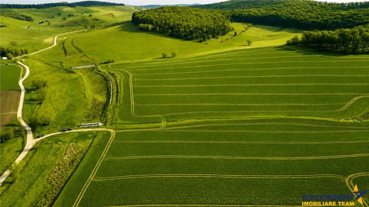 FILM! Portofoliu funciar de exceptie: 23.669 mp teren extravilan Sangiorgiu, Mures - foto 4