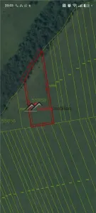 Teren extravilan 4.500 mp în Ciurila â€“ natură, liniște și intimitate, aproape de zona împădurită - foto 2