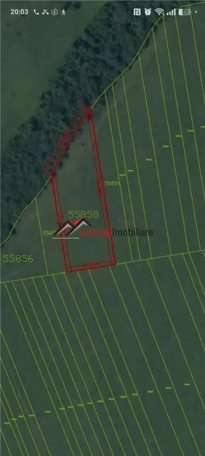 Teren extravilan 4.500 mp în Ciurila â€“ natură, liniște și intimitate, aproape de zona împădurită - foto 2