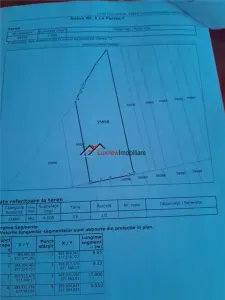 Teren extravilan 4.500 mp în Ciurila â€“ natură, liniște și intimitate, aproape de zona împădurită - foto 3