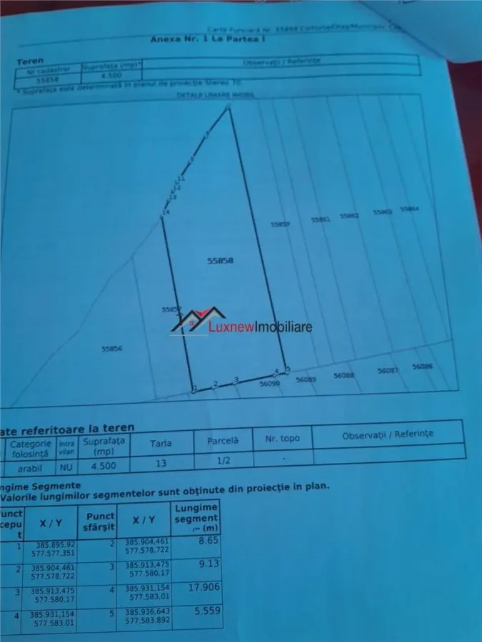 Teren extravilan 4.500 mp în Ciurila â€“ natură, liniște și intimitate, aproape de zona împădurită - foto 3
