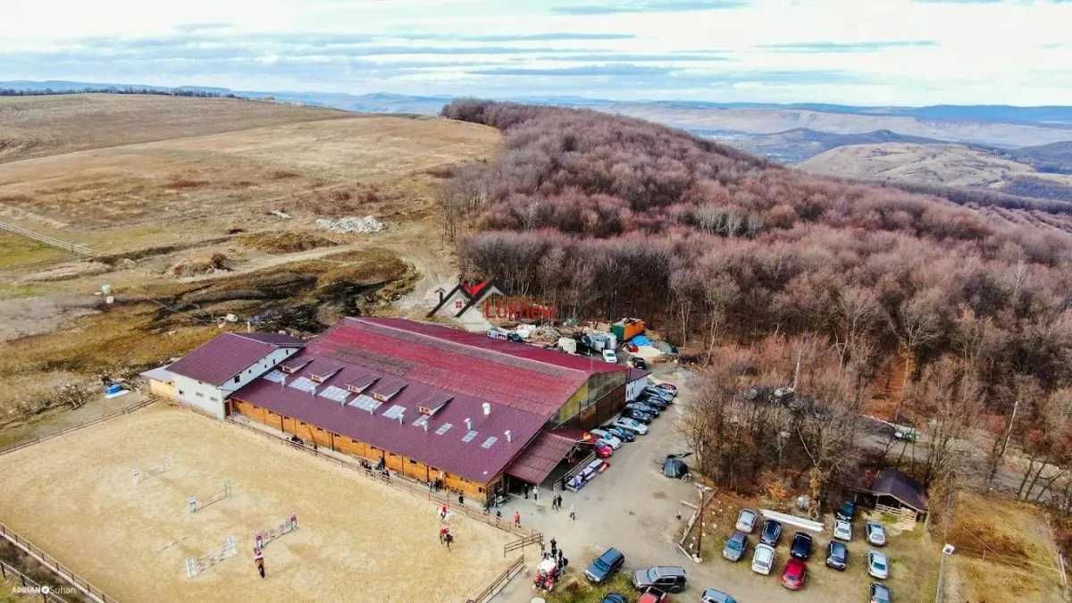 Teren extravilan 4.500 mp în Ciurila â€“ natură, liniște și intimitate, aproape de zona împădurită - foto 4