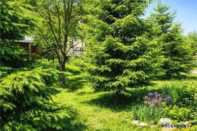 Locatie cu patru anotimpuri intr- o zi, incadrata de 2.350 teren, Bran - Fundata, Brasov - foto 5