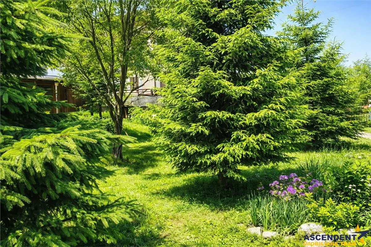 Locatie cu patru anotimpuri intr- o zi, incadrata de 2.350 teren, Bran - Fundata, Brasov - foto 5
