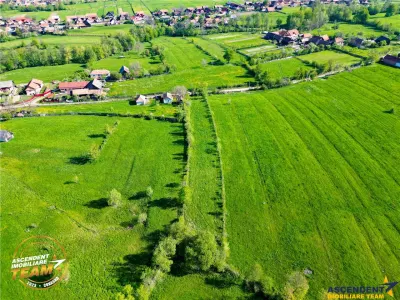 FILM! 2.063 mp de refugiu natural in localitatea Zagon, Covasna - foto 4