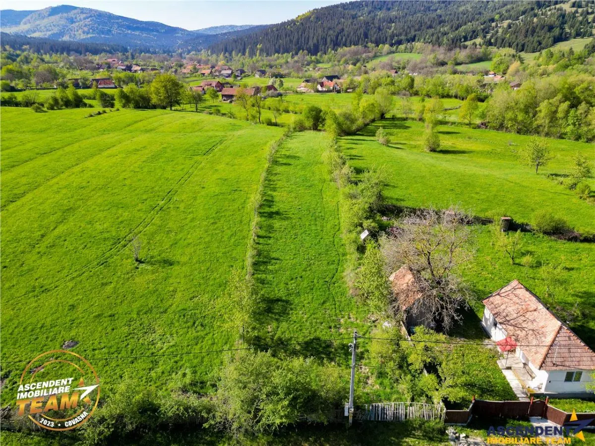 FILM! 2.063 mp de refugiu natural in localitatea Zagon, Covasna - foto 6