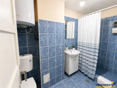 Nivel in casa cu 2 apartamente,145 mp utili+ teren 338mp, Gheorghe Doja - foto 13