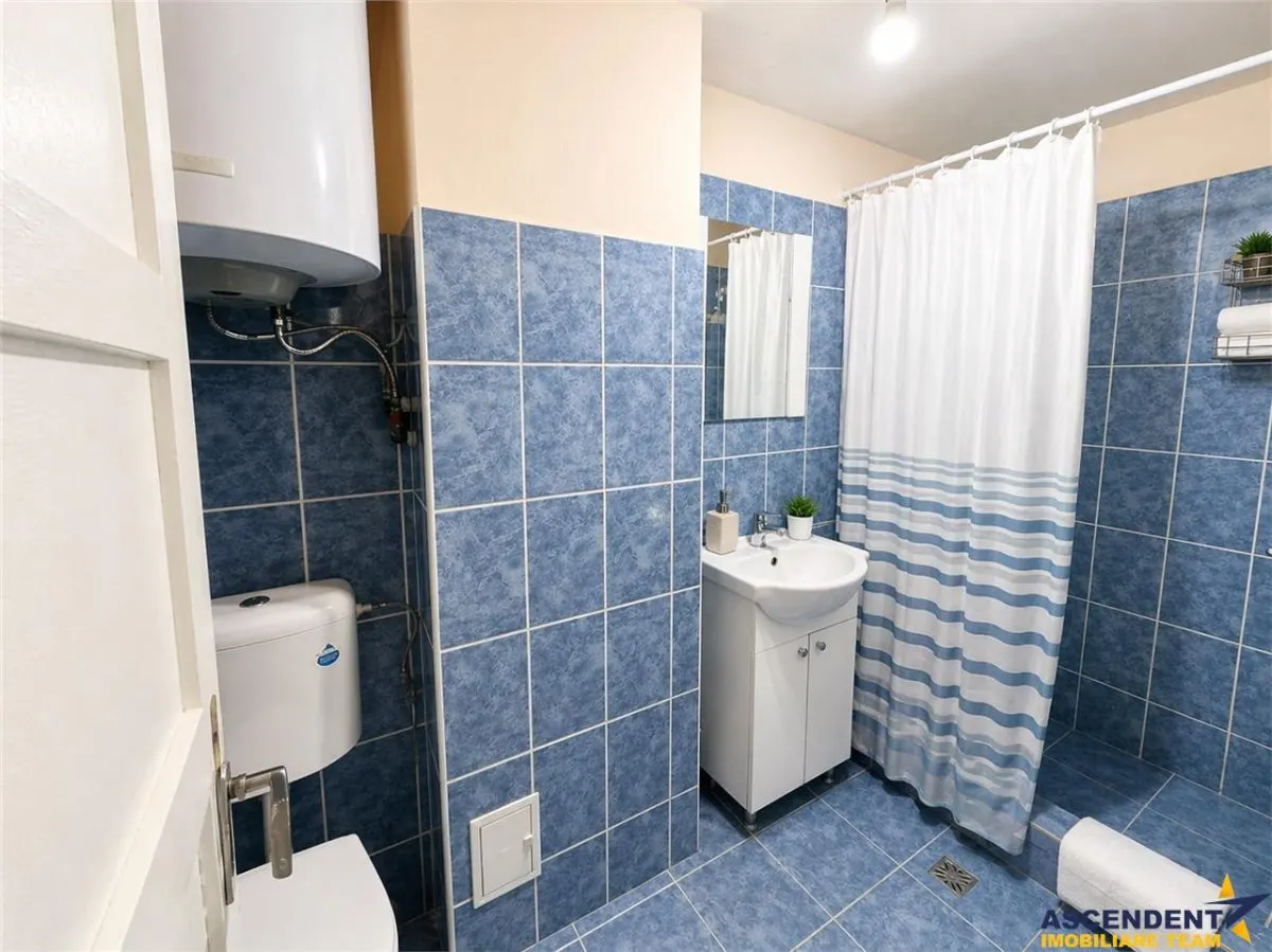 Nivel in casa cu 2 apartamente,145 mp utili+ teren 338mp, Gheorghe Doja - foto 13