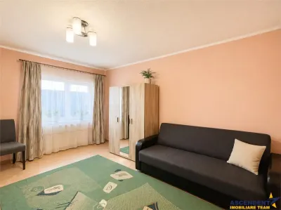 Nivel in casa cu 2 apartamente,145 mp utili+ teren 338mp, Gheorghe Doja - foto 4