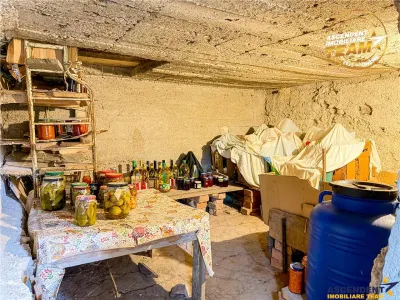 Casa traditionala, cu 709 mp teren intravilan zona apreciabila, Sfantu Gheorghe - foto 11