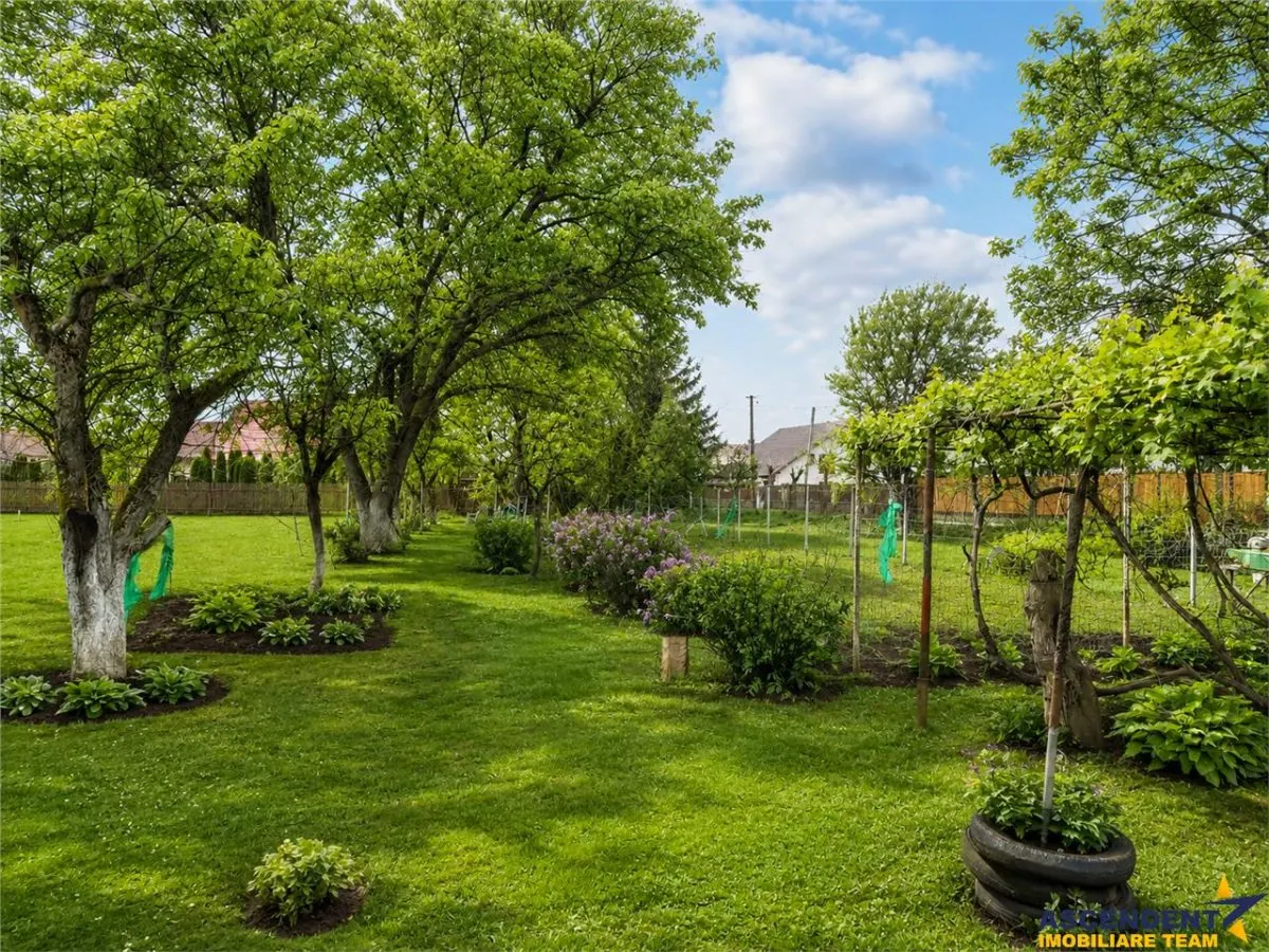 Casa traditionala, cu 709 mp teren intravilan zona apreciabila, Sfantu Gheorghe - foto 5