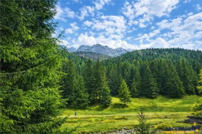Teren intravilan panoramic 4.600 mp, view iconic Piatra Craiului, oportunitate Premium - Zarnesti
