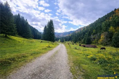 Teren intravilan panoramic 4.600 mp, view iconic Piatra Craiului, oportunitate Premium - foto 2