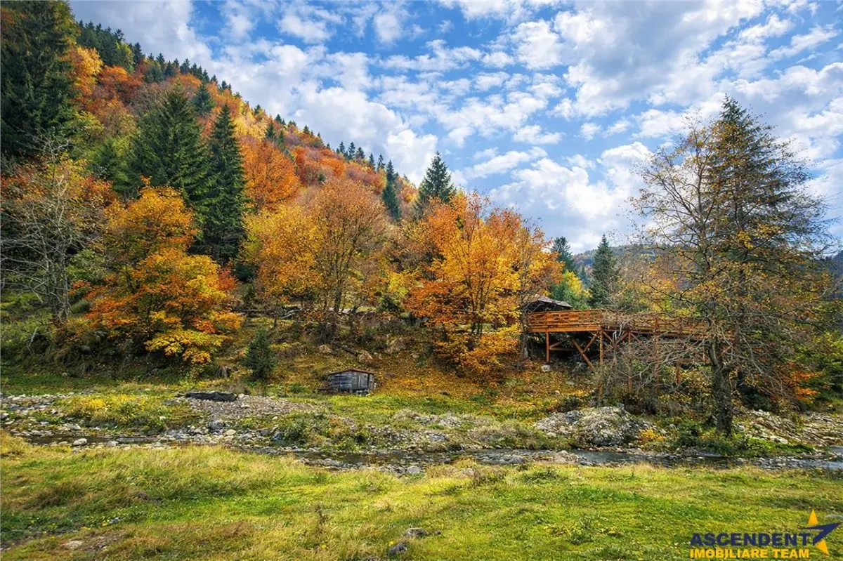 Teren intravilan panoramic 4.600 mp, view iconic Piatra Craiului, oportunitate Premium - foto 3