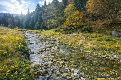 Teren intravilan panoramic 4.600 mp, view iconic Piatra Craiului, oportunitate Premium - foto 4