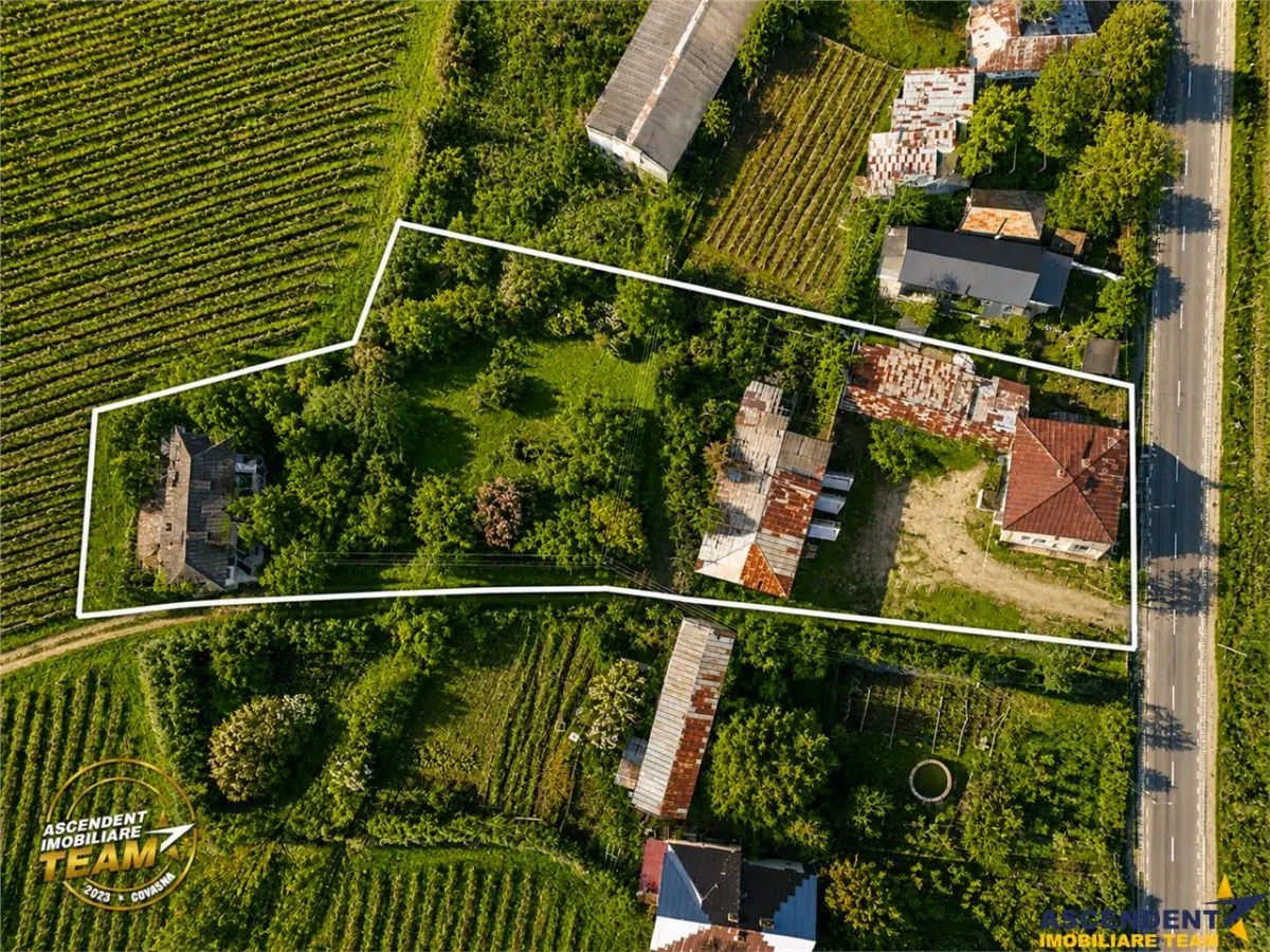 Proprietate unica in zona viticola Odobesti, Vrancea, casa boiereasca cu 4.000 mp de teren intravilan - foto 4