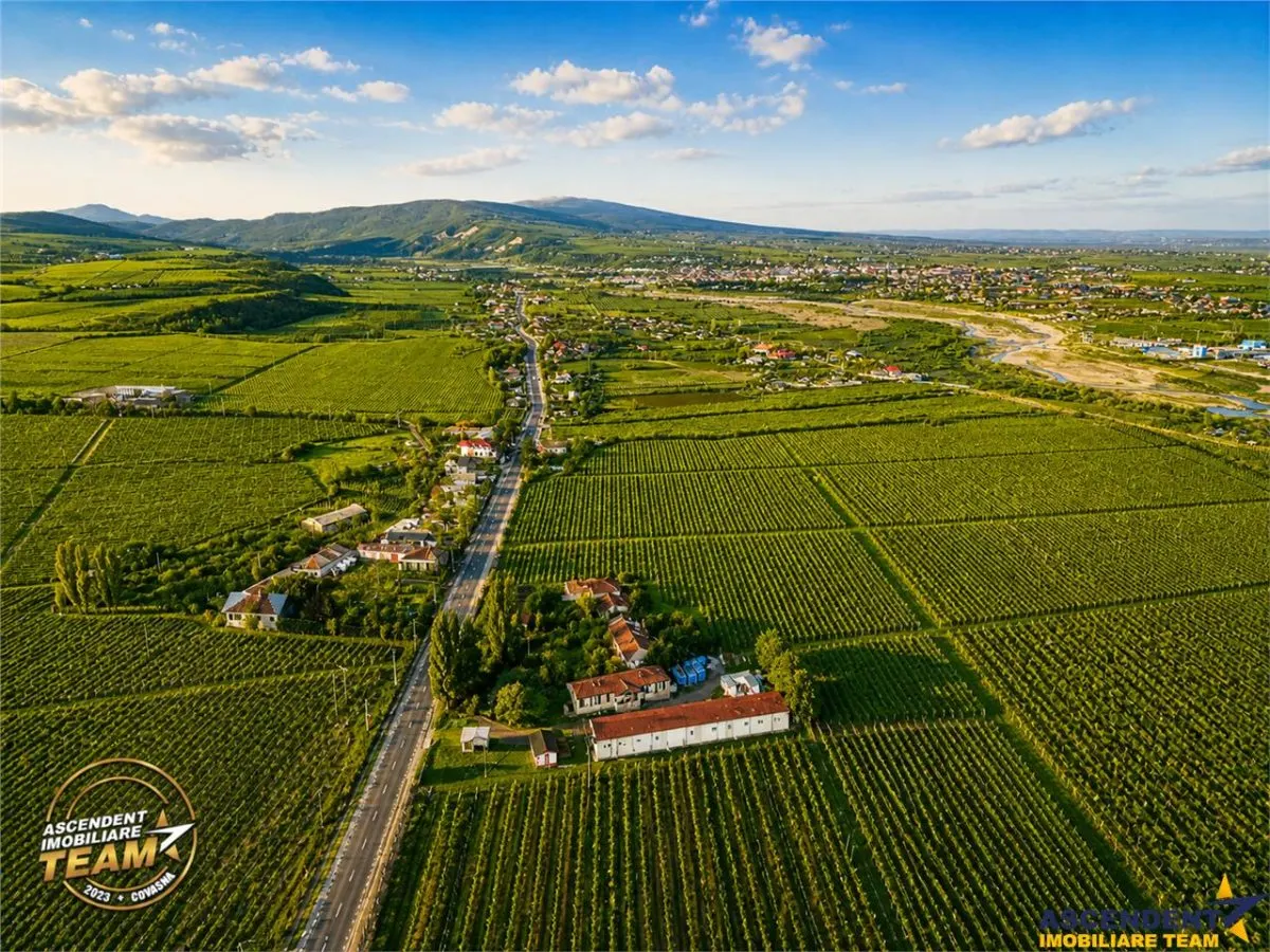 Proprietate unica in zona viticola Odobesti, Vrancea, casa boiereasca cu 4.000 mp de teren intravilan - foto 7