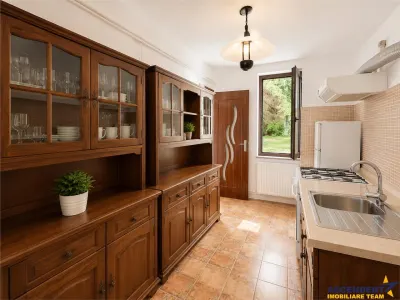Proprietate deosebita, pe domeniu de 2.300 mp, panorama, Subpadure, Targu Mures:FILM&Tur 3D! - foto 4