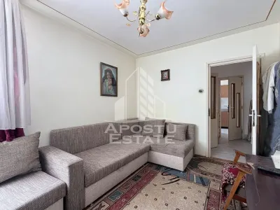 Apartament de vanzare  doua camere decomandat Sagului - Timisoara