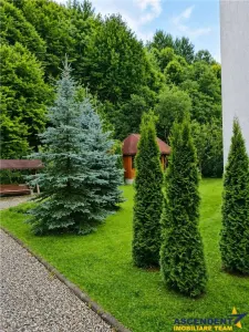 Pensiune, in acordul apei curgatoare, sub aripa padurii, Moieciu, Bran, Brasov - Bran