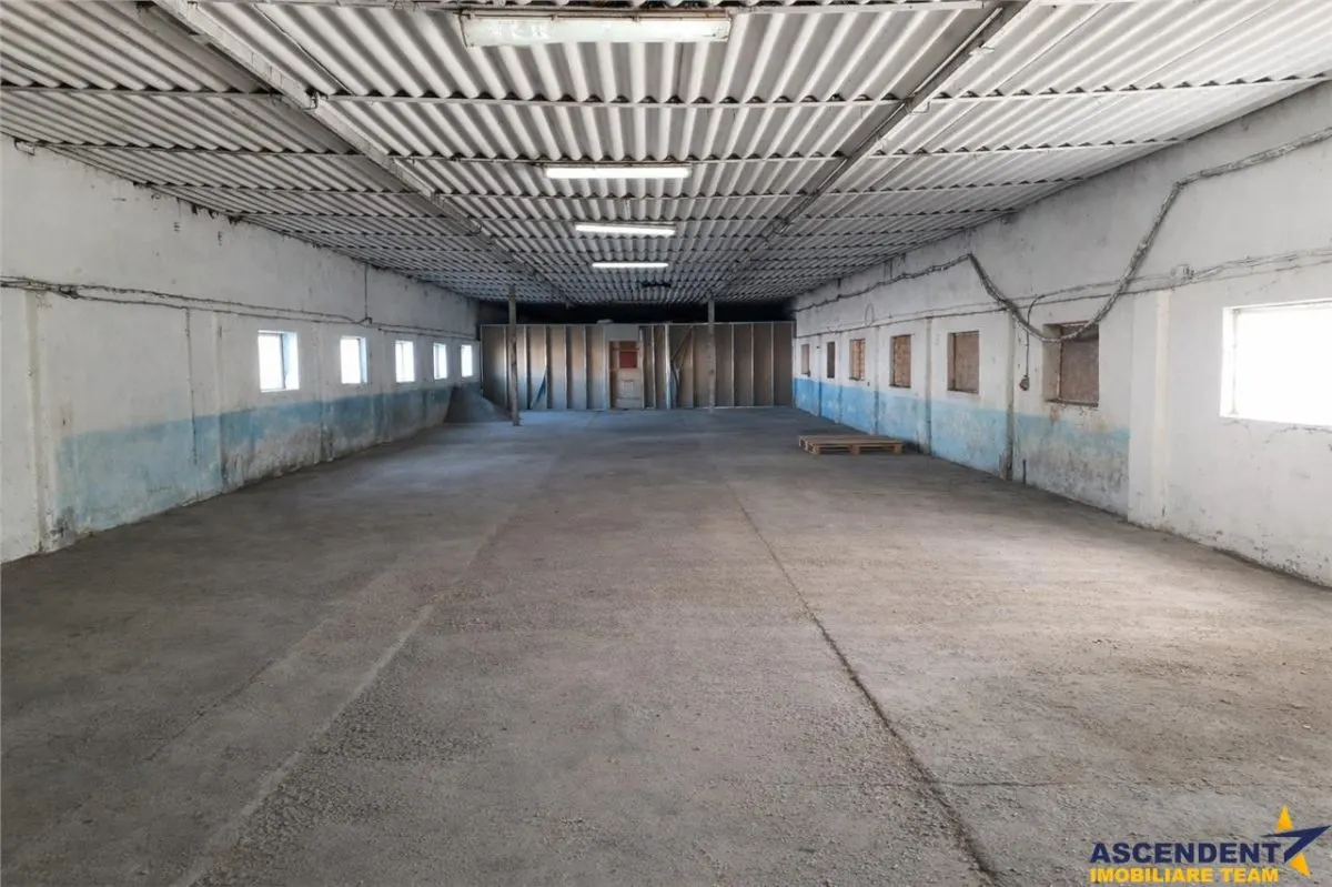 Hala versatila,spatii cazare, platforma betonata,1.150 mp teren,Halchiu,Brasov - foto 2