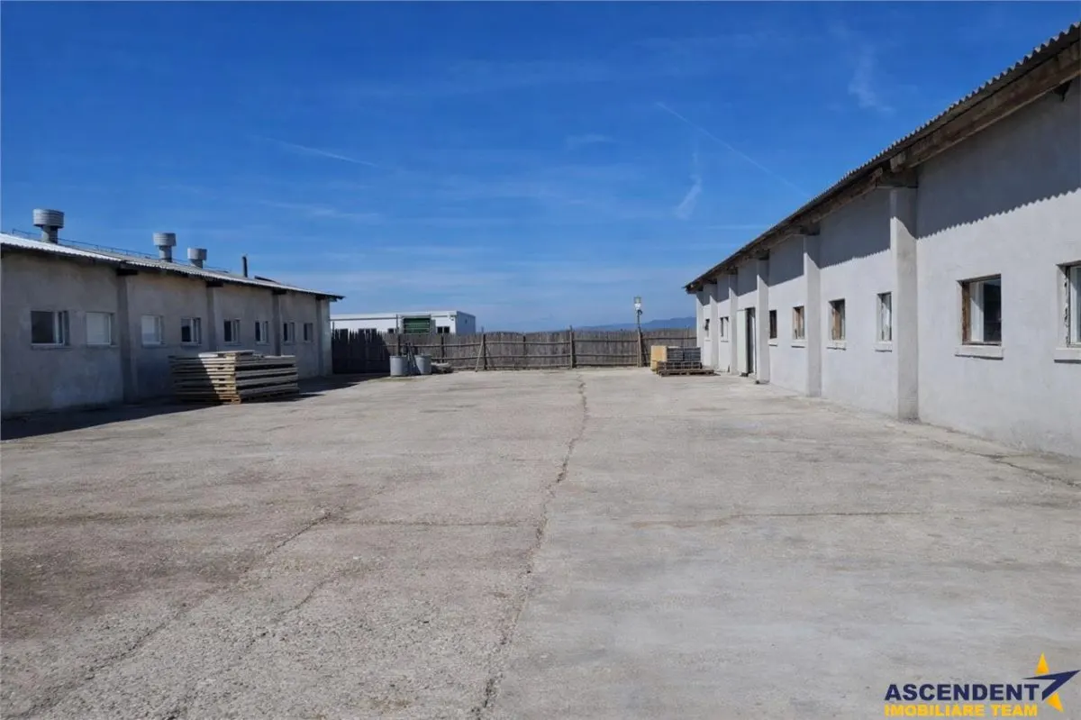 Hala versatila,spatii cazare, platforma betonata,1.150 mp teren,Halchiu,Brasov - foto 5