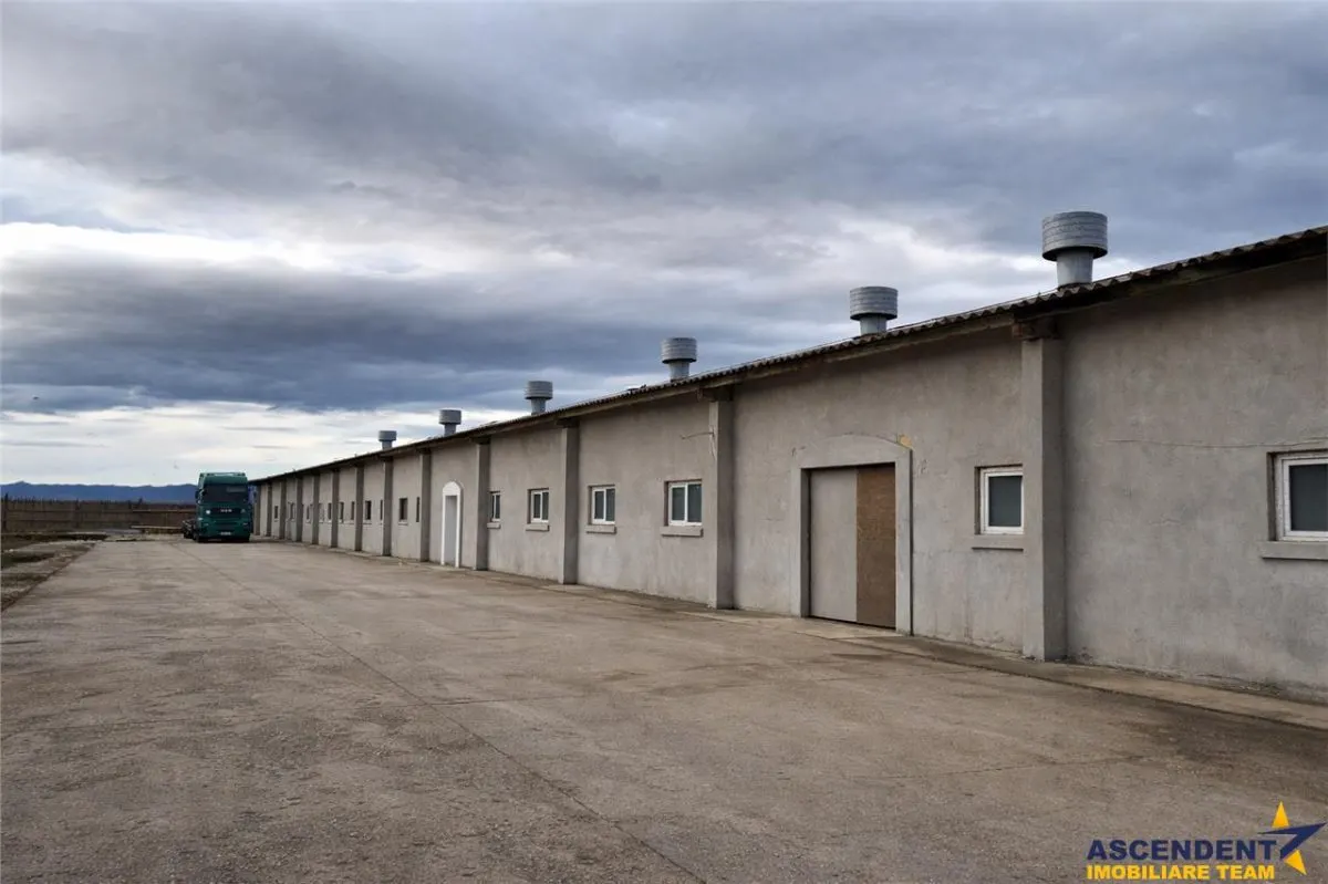 Hala versatila,spatii cazare, platforma betonata,1.150 mp teren,Halchiu,Brasov - foto 6