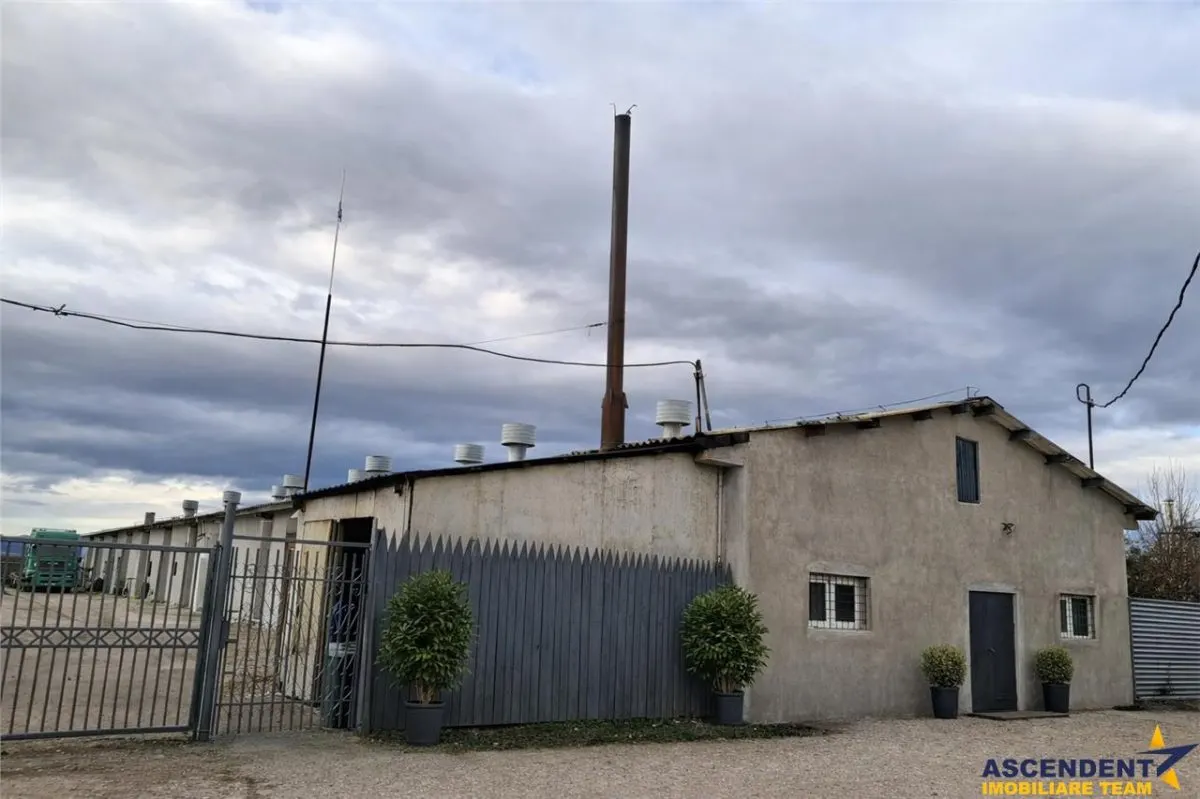 Hala industriala versatila,spatii cazare, platforma betonata,2.300 mp,Halchiu - foto 13