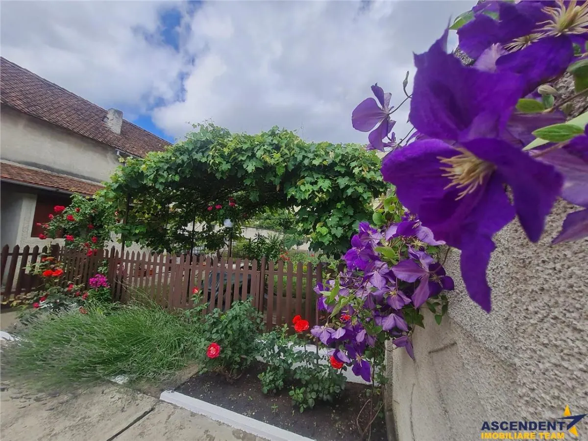 Casa cu vatra traditionala, gradina, garaj, facilitati, Codlea, Brasov - foto 17