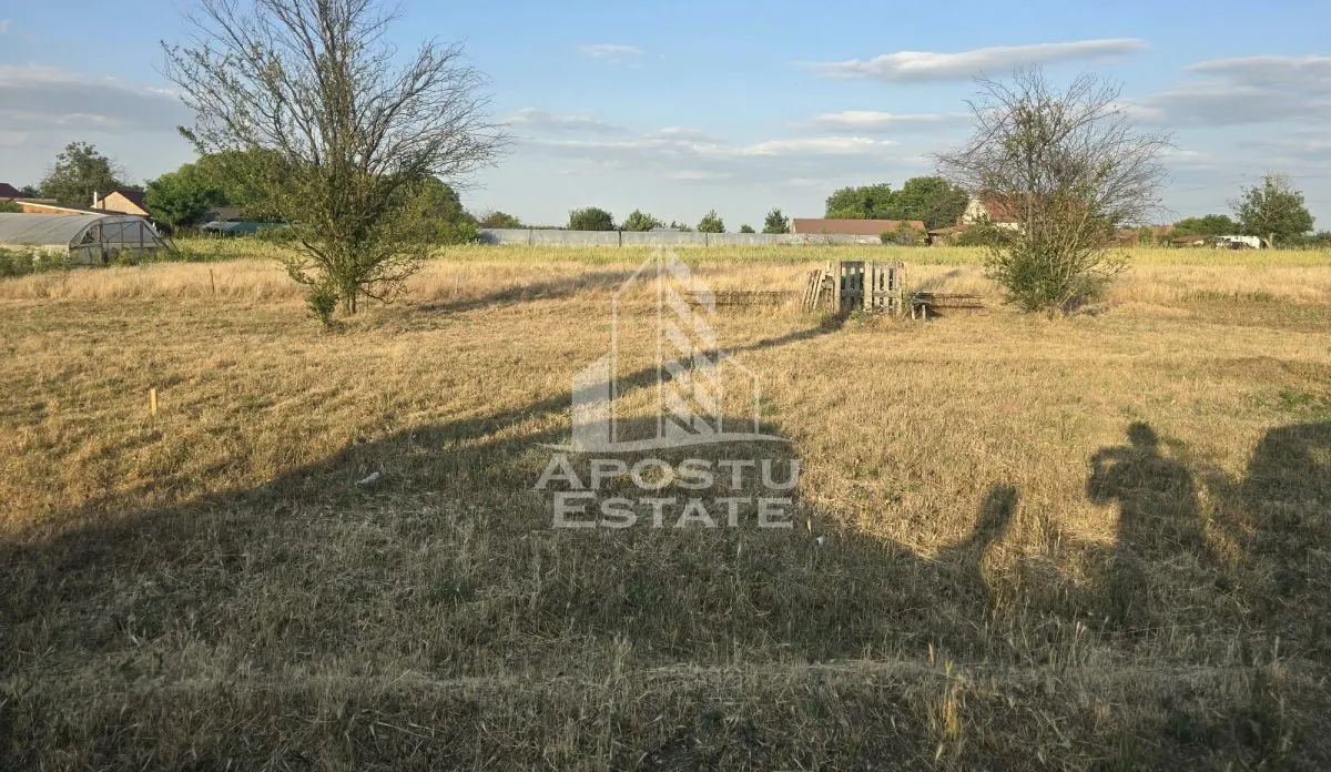Teren intravilan, in exclusivitate, in Curtici. - foto 3