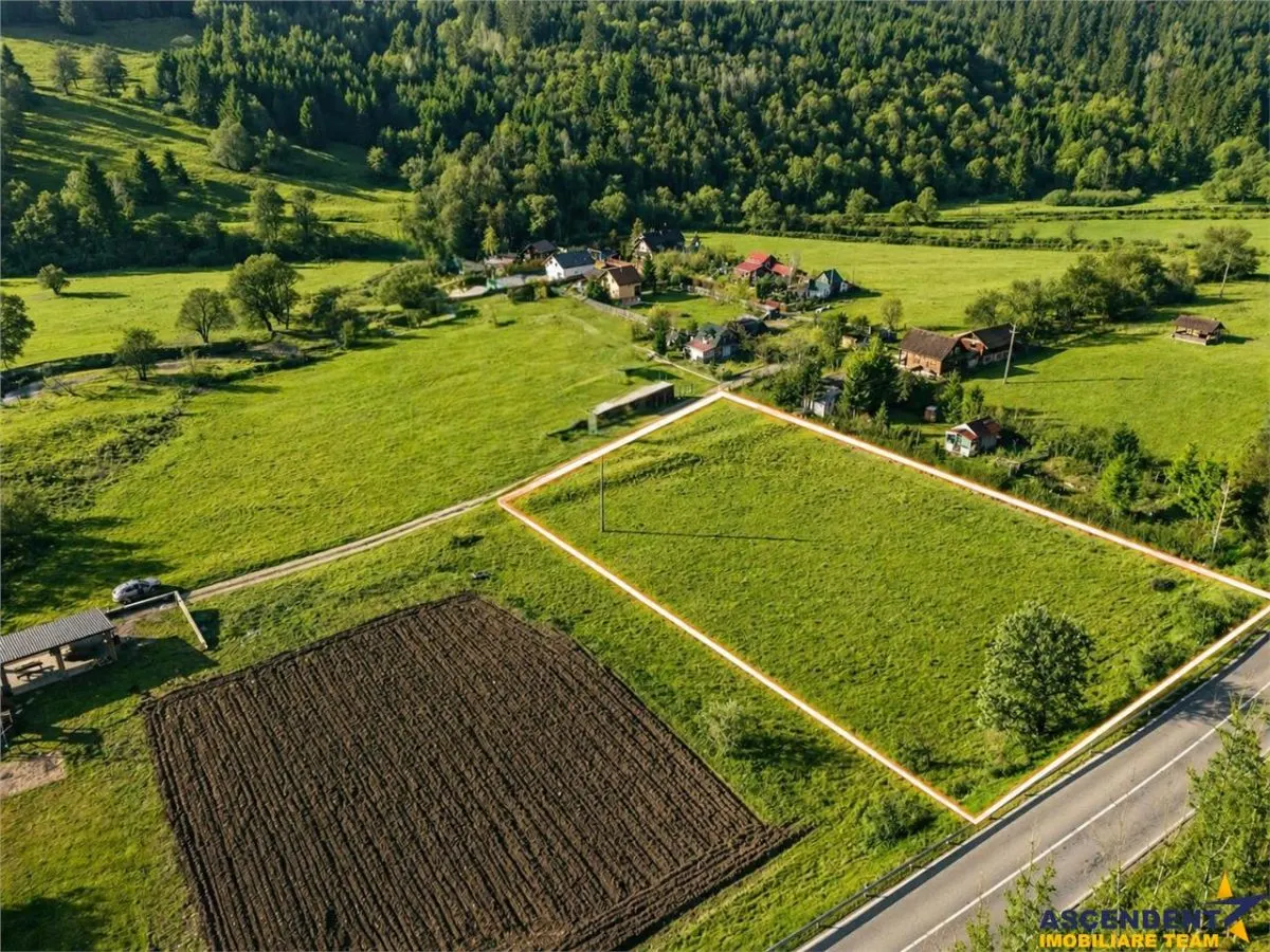 Teren cu potential, 3.100 mp, remarcabila incadrare, langa drumul principal, Catrusa, Covasna - foto 3