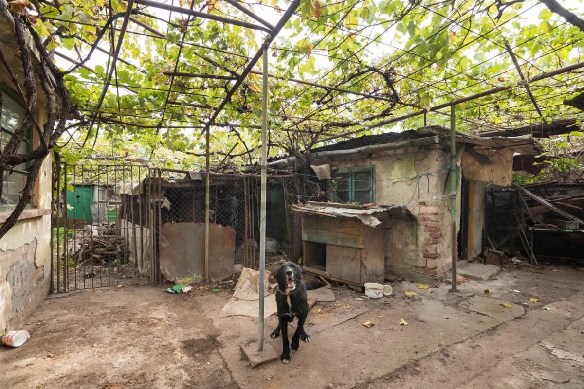 RECO  Casa in Episcopia Bihor cu teren de 704mp - foto 15