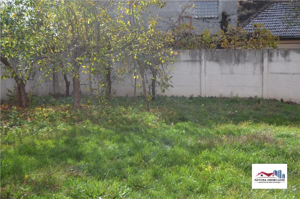 Casa de Inchiriat Mobilata si Utilata Zona Cetatii - foto 11