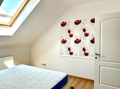Vila  de vanzare  Valea Lupului, - foto 25