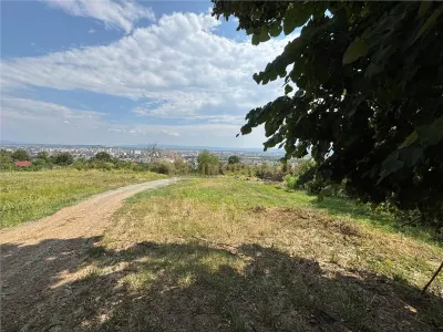 Teren intravilan zona Grigore Ureche - foto 4