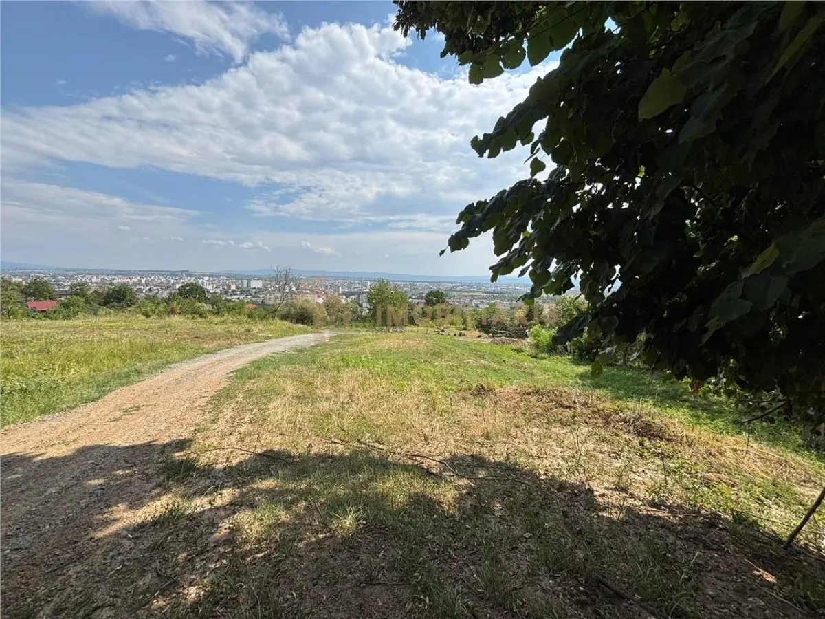 Teren intravilan zona Grigore Ureche - foto 6