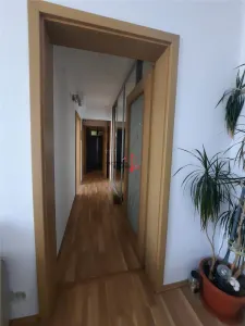 3 camere Iancului. Renovat, luminos, pret corect, gata de vanzare - foto 13