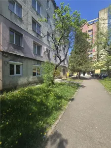 Apartament cu 2 camere, la parter | Complet renovat - Micro 14 - Satu Mare