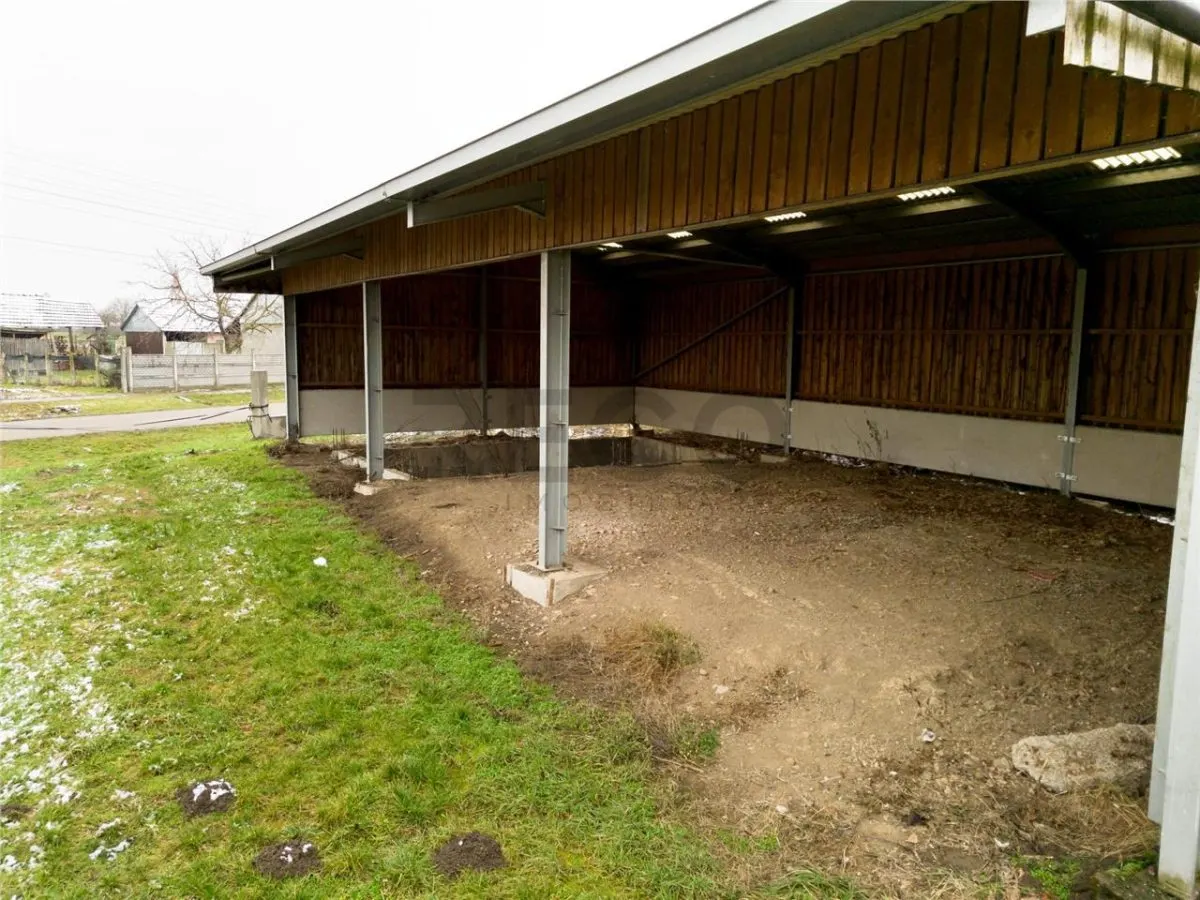 RECO . Teren intravilan cu hala metalica in Roit . - foto 16