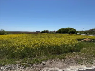 RECO . Teren intravilan cu hala metalica in Roit . - foto 3