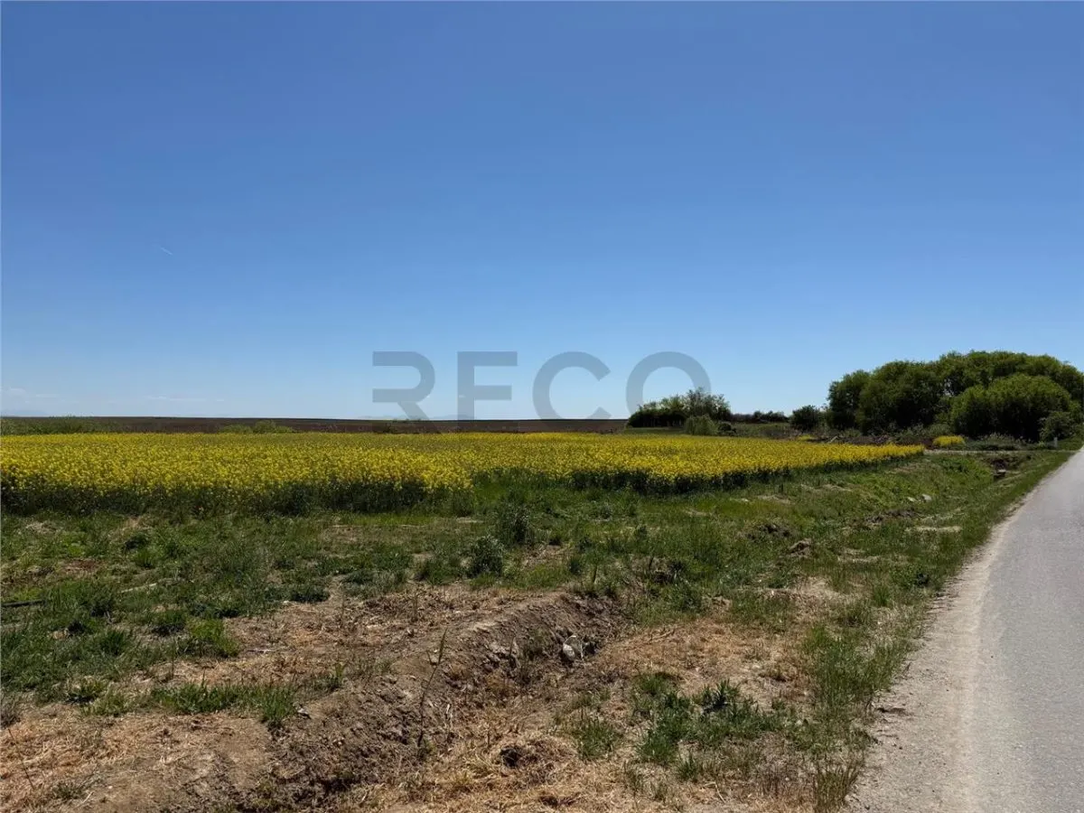 RECO . Teren intravilan cu hala metalica in Roit . - foto 4