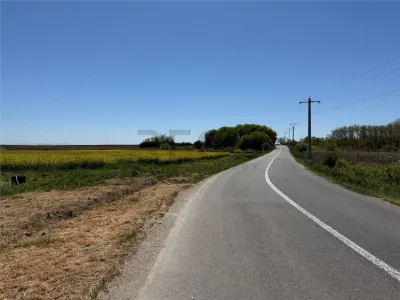 RECO . Teren intravilan cu hala metalica in Roit . - foto 10